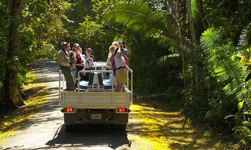 Bird Watching Tour