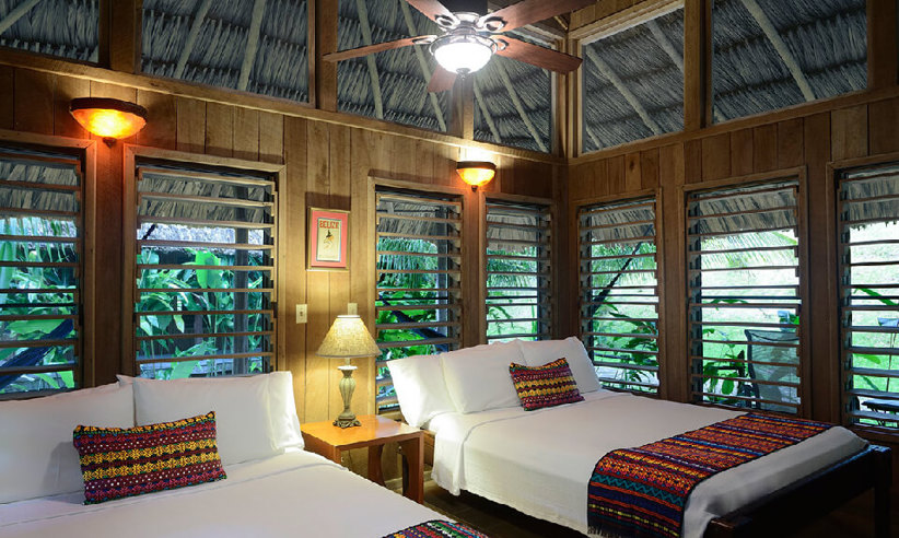 Garden View Room