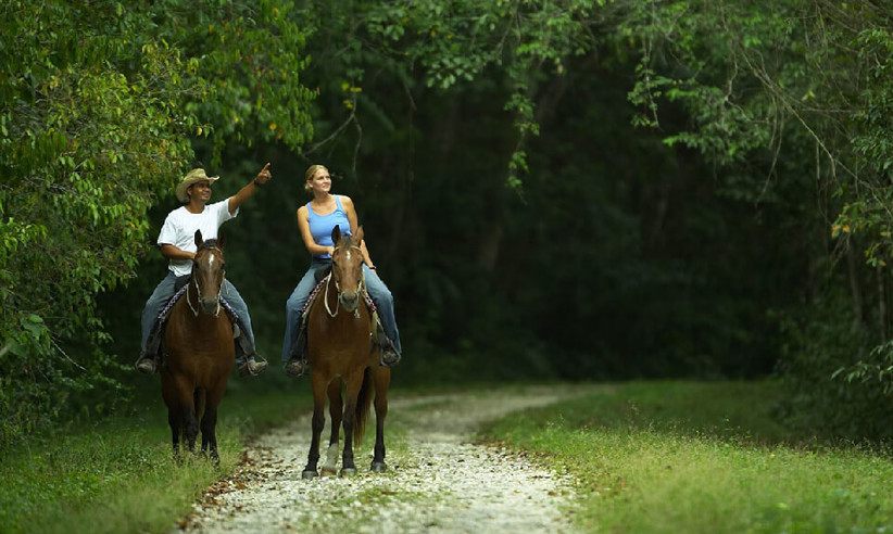 Horseriding
