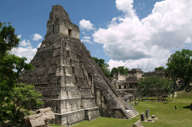 Central America, Guatemala - The towering Maya pyramid of Tikal rises above the lush jungle canopy. 