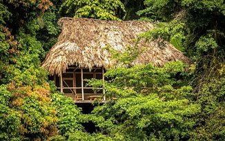 Bungalow