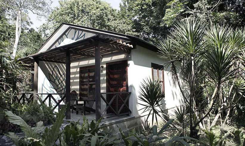 View of the Jungle suite