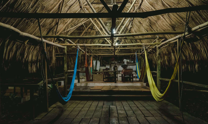 Common Hammock Area