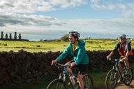 Easter Island Exploration Moai