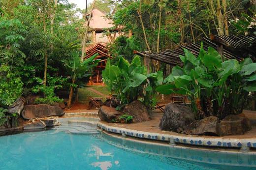 Yacutinga Lodge Birding Aves De La Selva