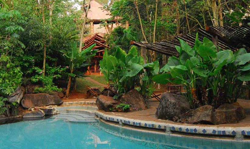 Yacutinga Lodge Birding Aves De La Selva