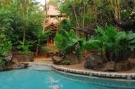 Yacutinga Lodge Birding Aves De La Selva