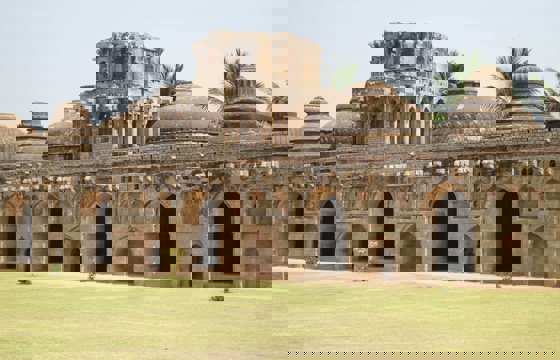 Hampi Bee 1