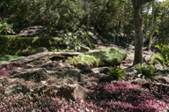 Jardim 062A