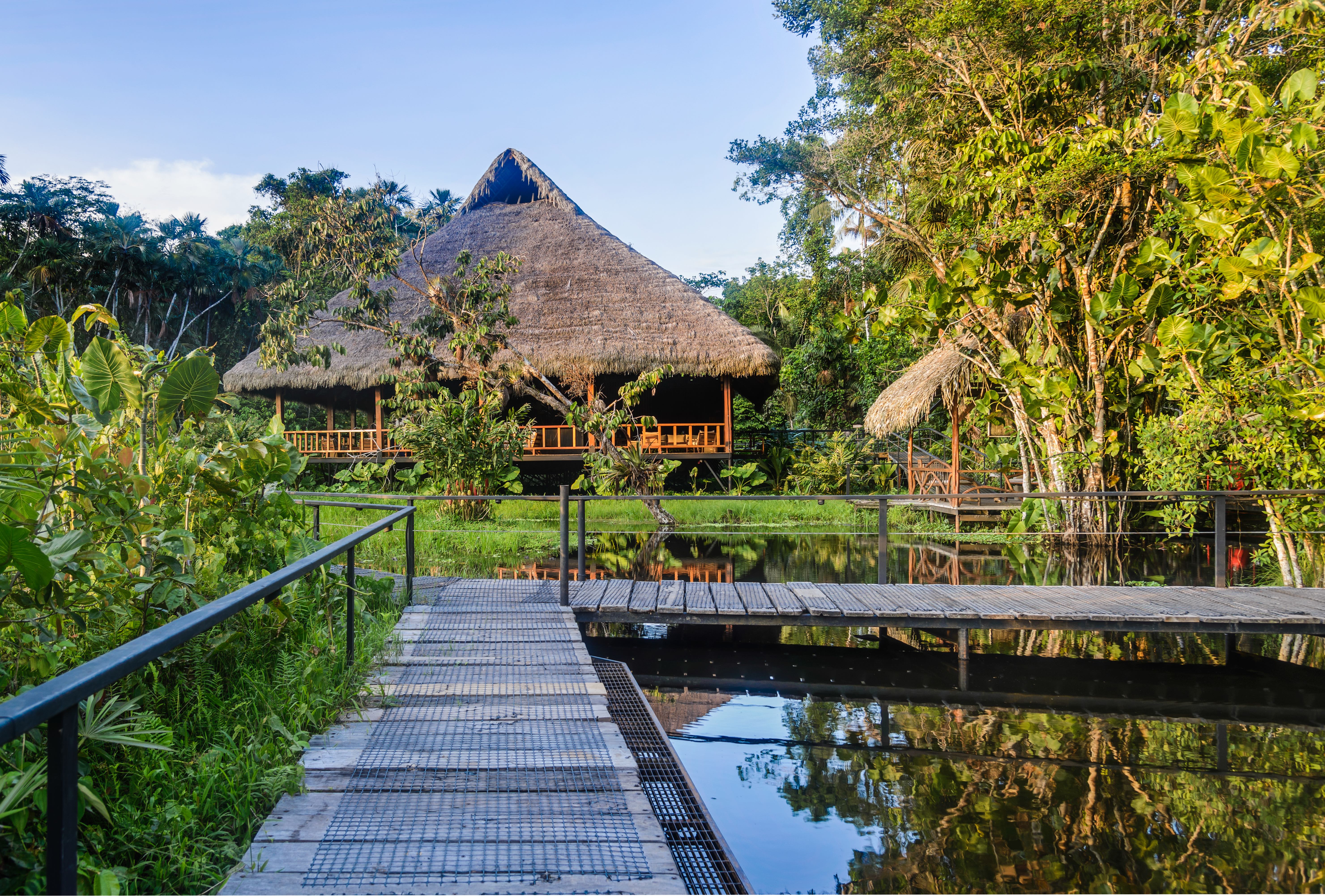 Lodge Sacha Lodge