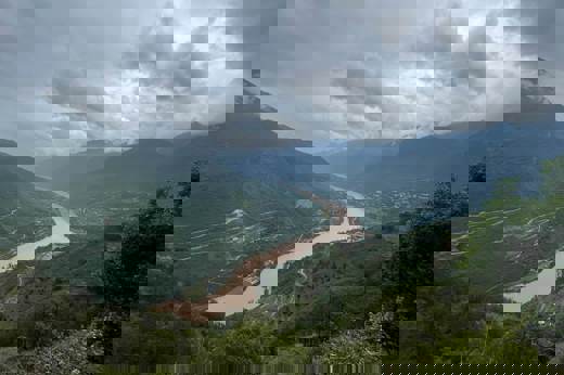 View Of Tlg