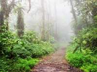 Sendamonteverde Monteverde 01