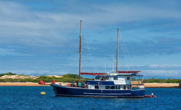 The Samba offers excellent value for money