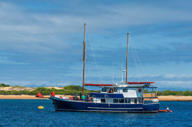 The Samba offers excellent value for money