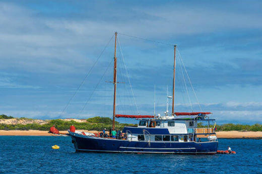 The Samba offers excellent value for money