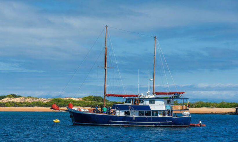 The Samba offers excellent value for money