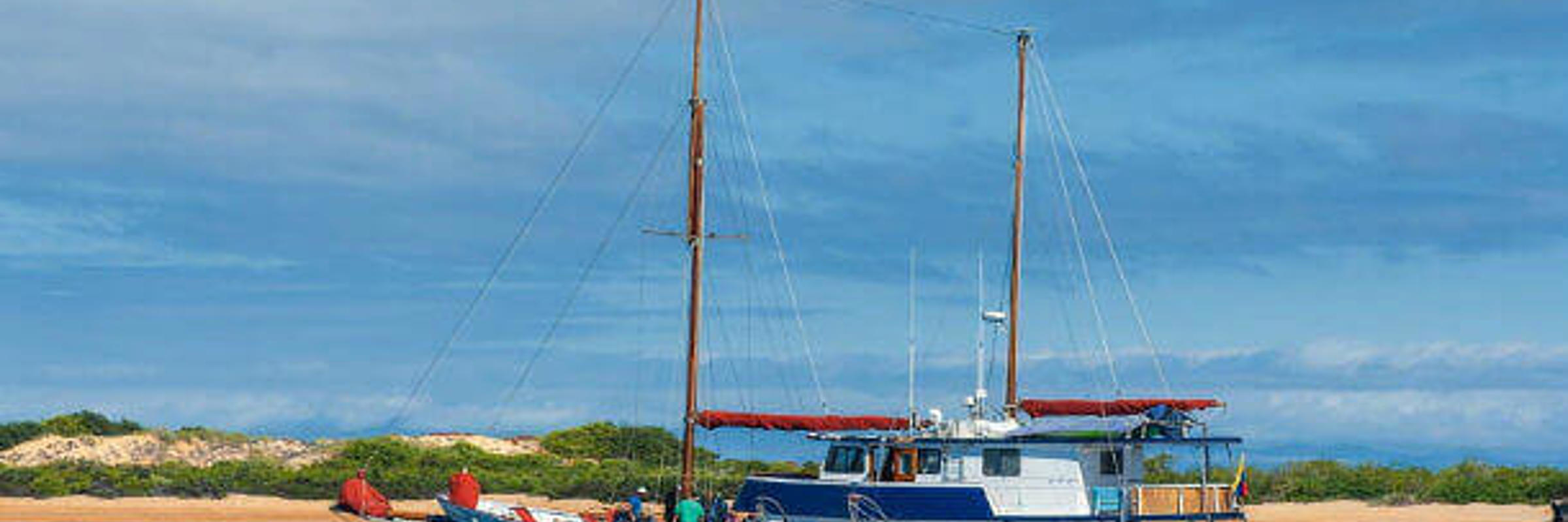The Samba offers excellent value for money