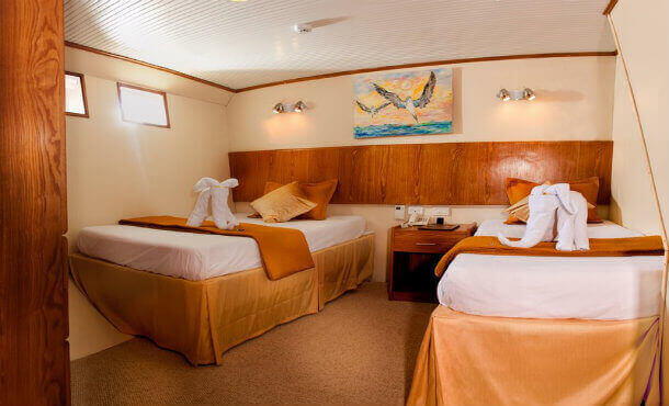 A spacious twin cabin 