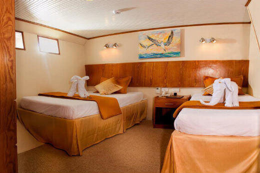 A spacious twin cabin 