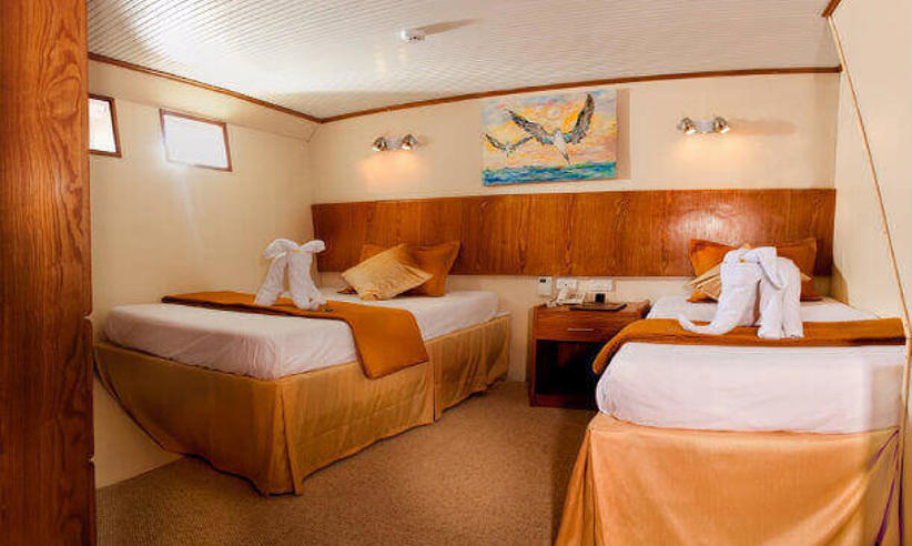 A spacious twin cabin 