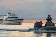 Going ashore by zodiac