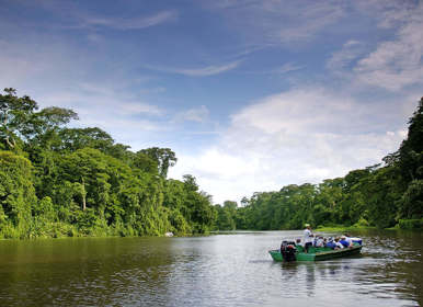 Image for: Canopy