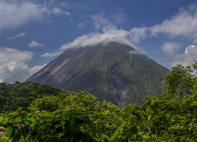 Image for: Ninos Arenal