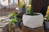 Galeria 2