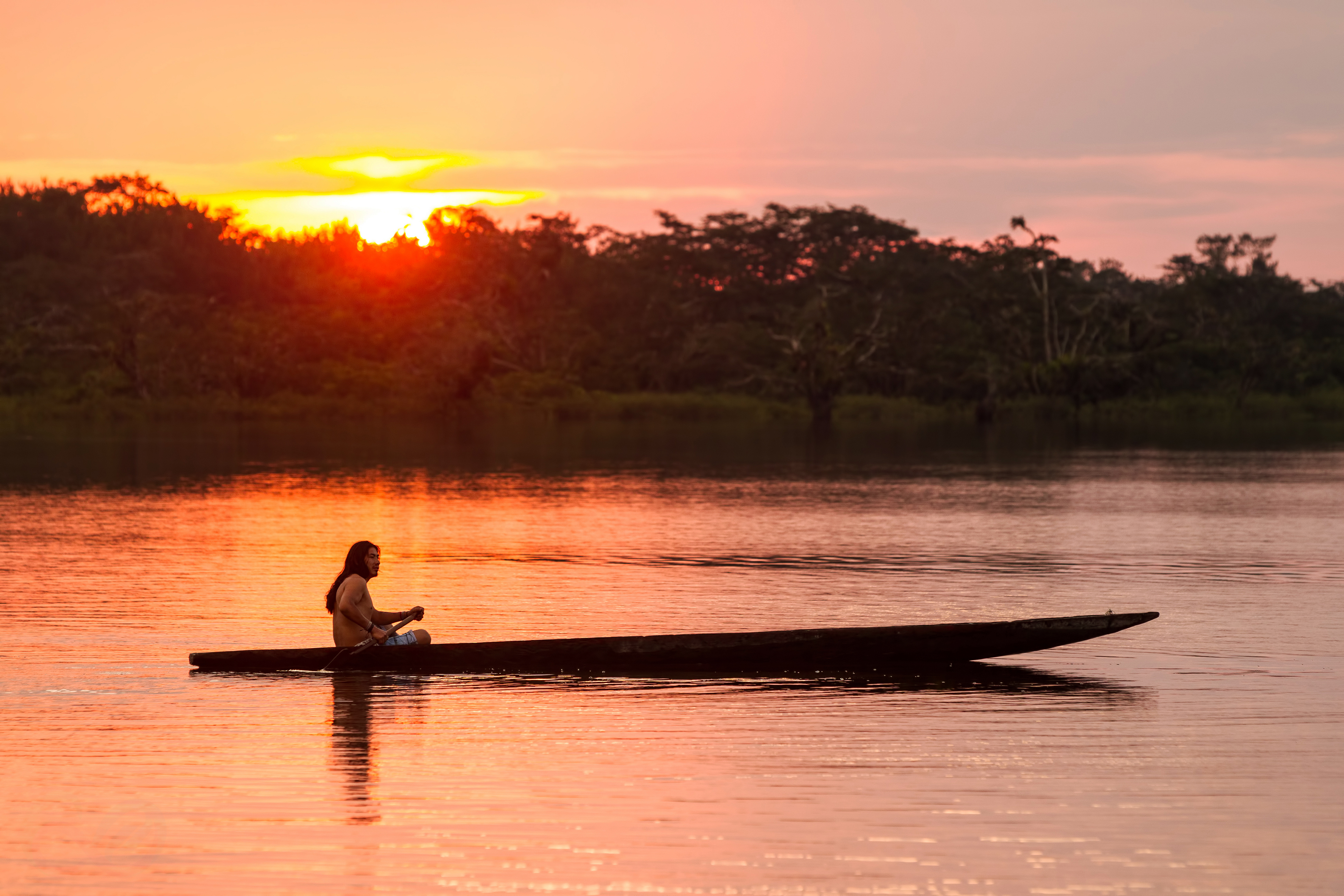 Amazonas 14