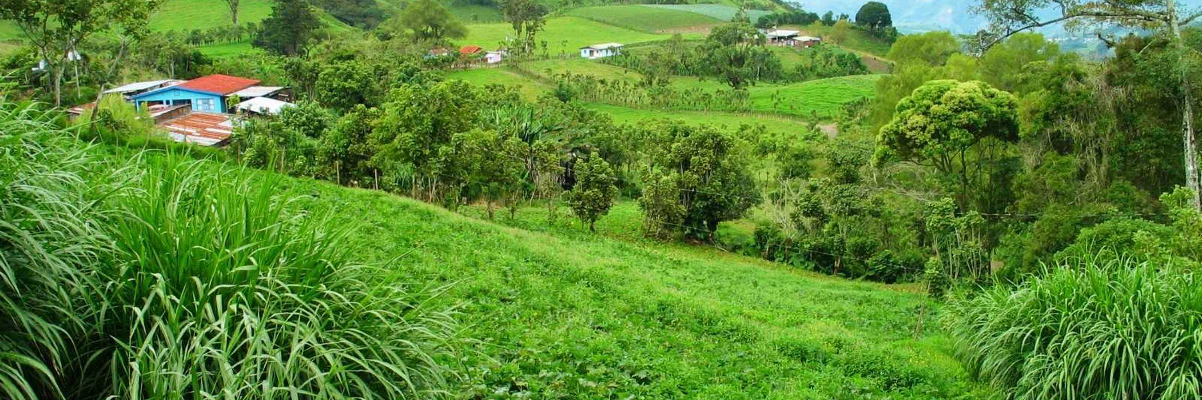 Turrialba 03