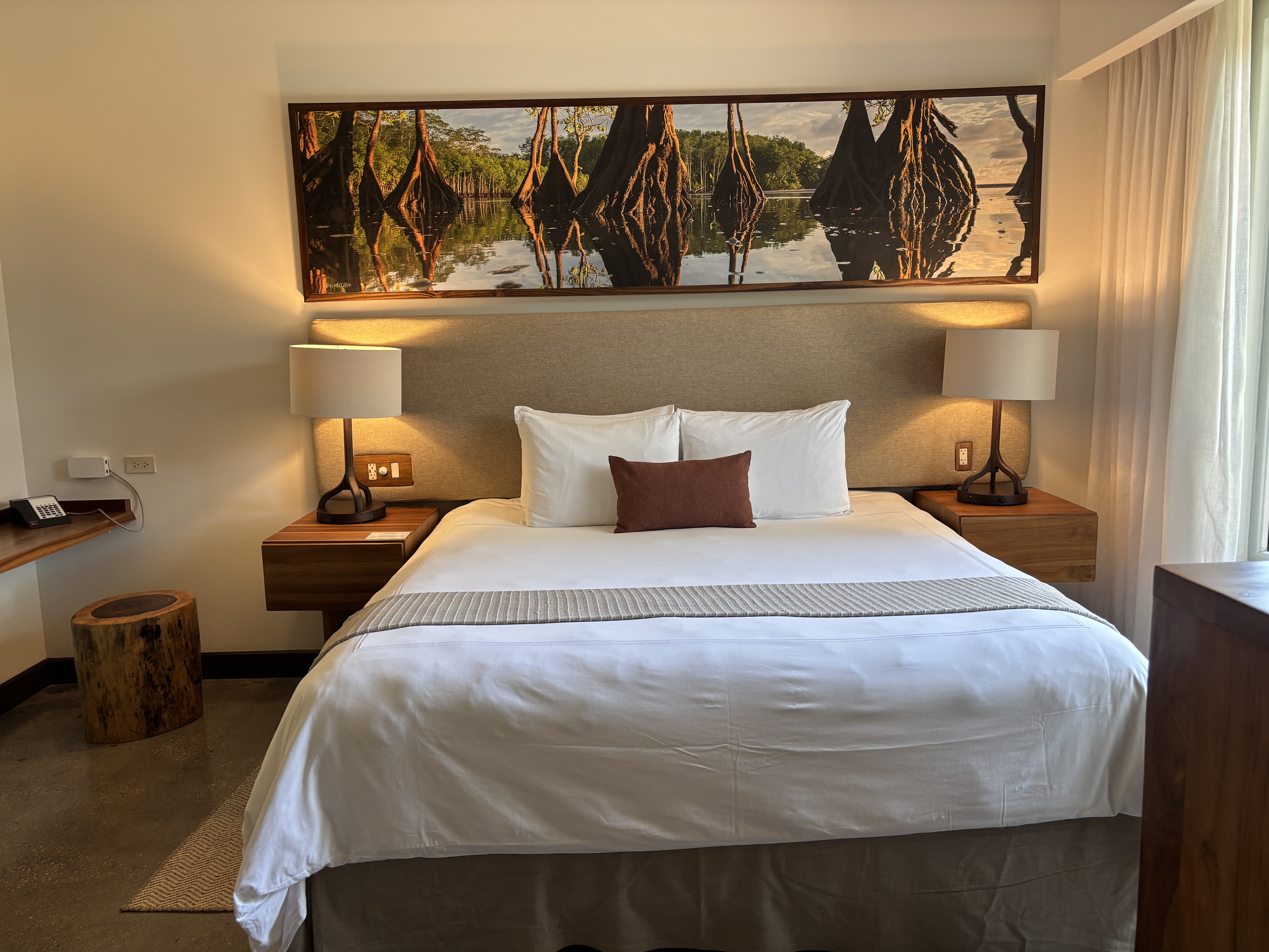 Nest Suite1