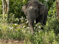 PHOTO 2025 12 16 16 22 28