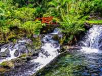 Tabacon 06