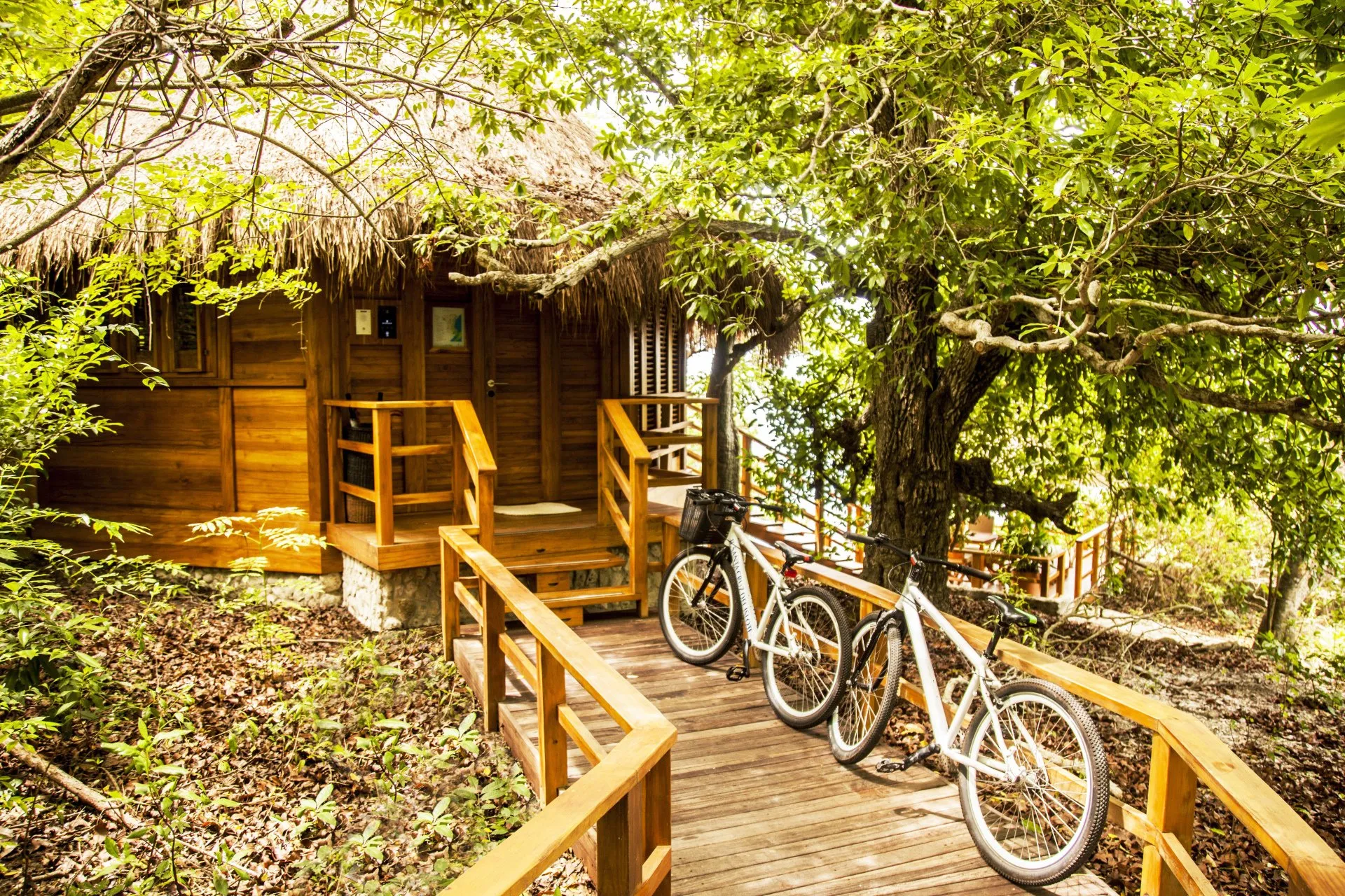 Bungalow+Bicicletas+Copia 1920W