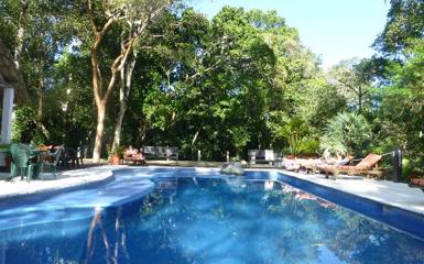 Image for: Jungle Lodge