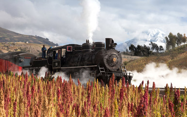 Image for: Tren Crucero