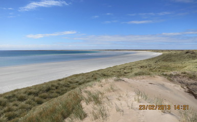 Image for: Pebble Island
