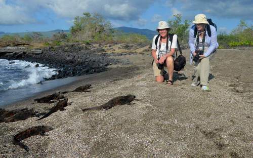  Galapagos