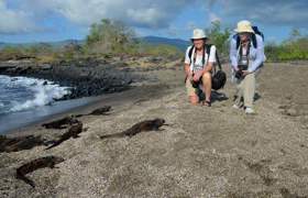 Croisière Galapagos Equateur