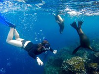 Snorkeling.jpg