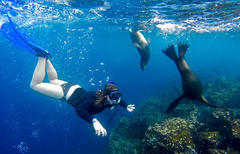 My highlight: snorkeling with sea lions
