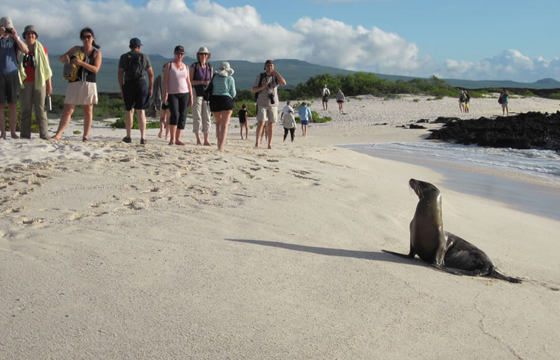 galapagos-islands-4-days-3-nights-img102.jpg