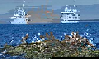 Image for: 11-Isabela-II.jpg