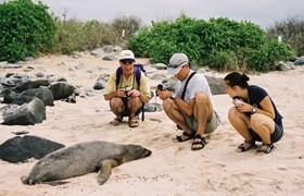 Galapagos Family 