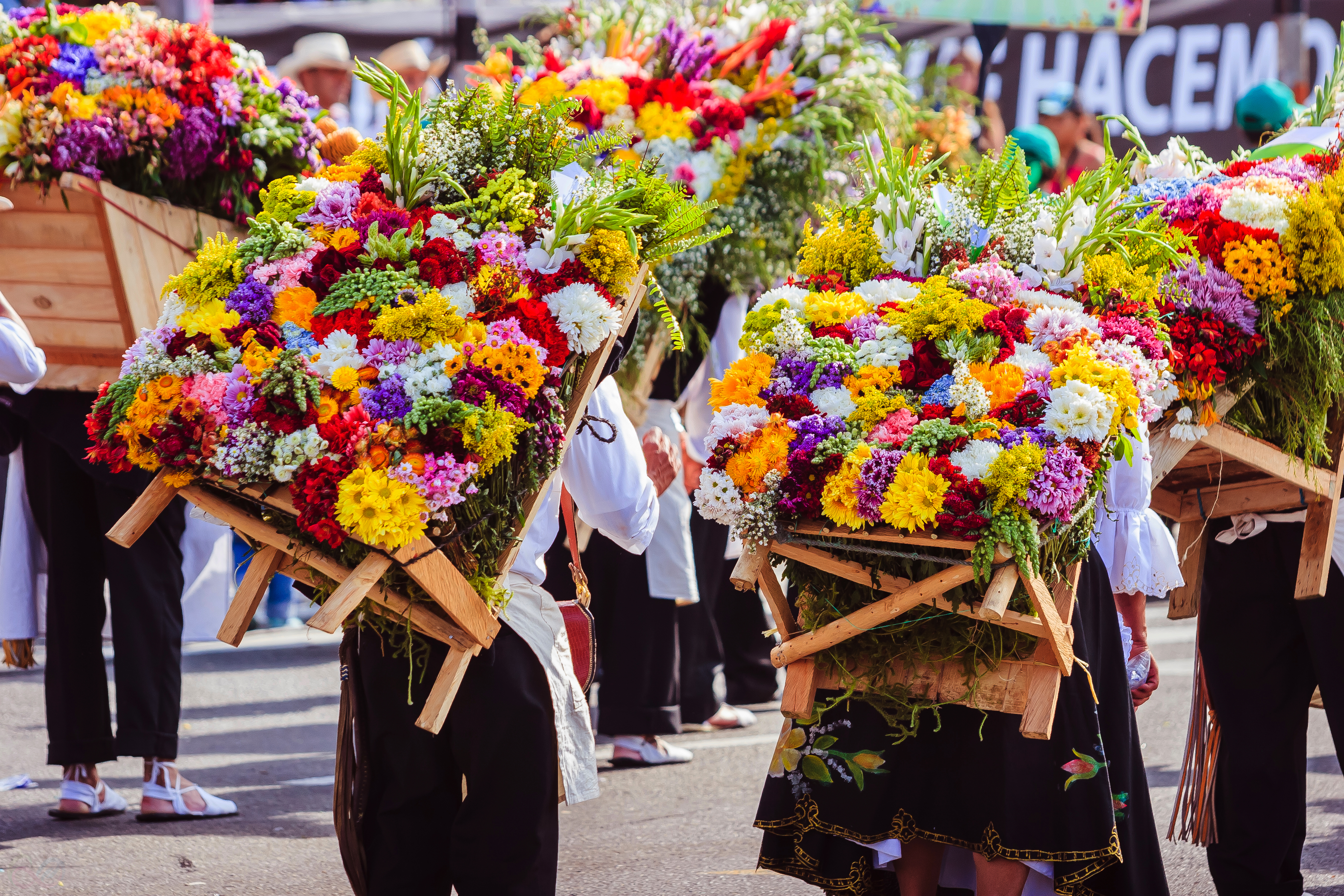 Medellin 15