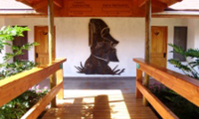 Gallery 06