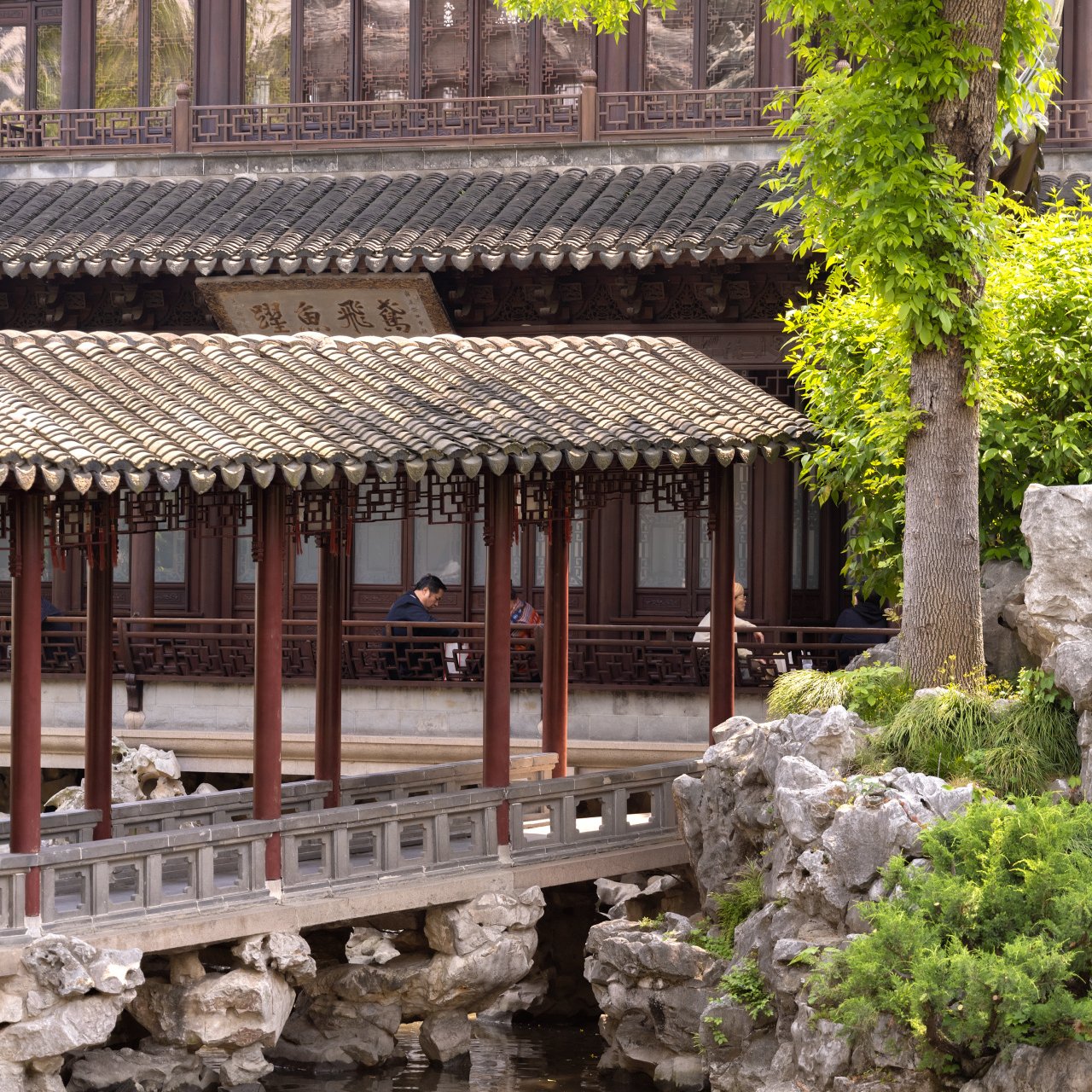 Amanyangyun China 18