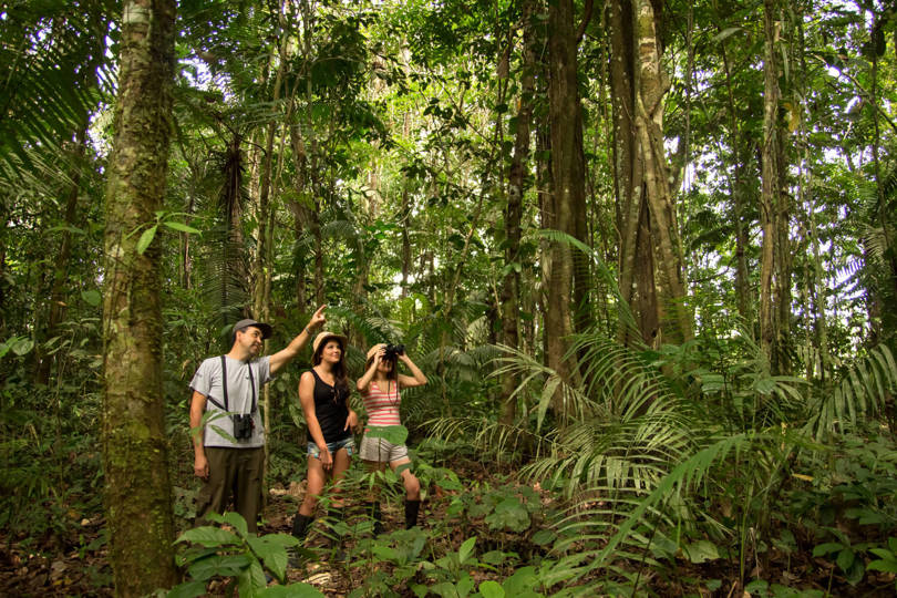 Amazon hike