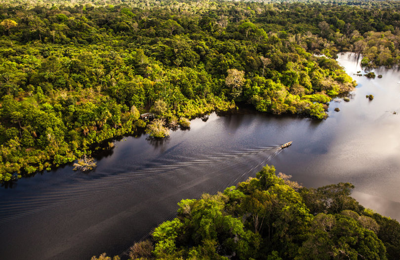Amazon Rainforest