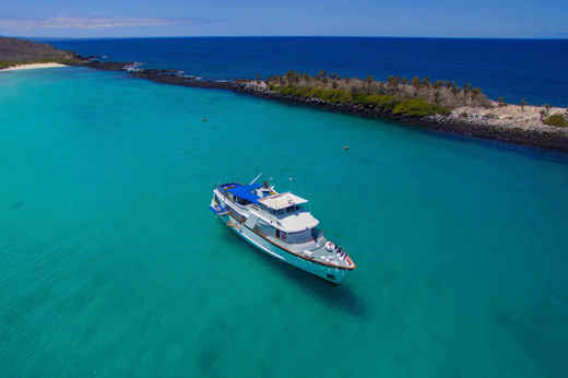 Cruising the shallows